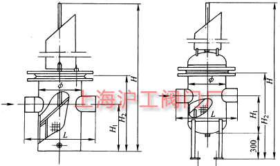 籃式過濾器主要外形及結(jié)構(gòu)尺寸示意圖