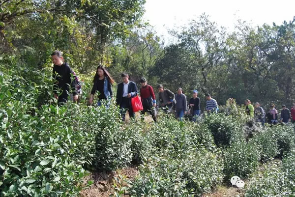 �Ϻ������y�T�S2016���＾ͽ�����л��(d��ng) �D5