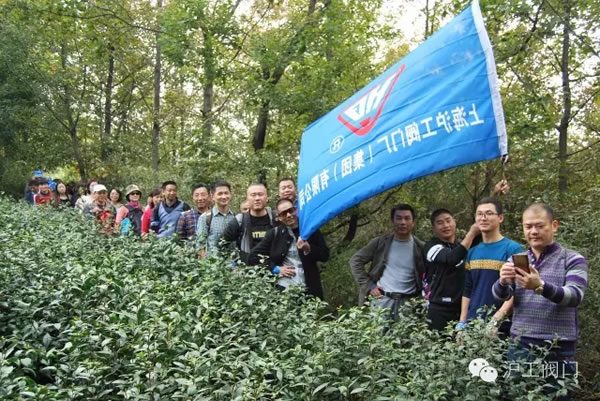 �Ϻ������y�T�S2016���＾ͽ�����л��(d��ng) �D9