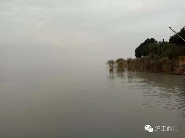 �Ϻ������y�T�S2016���＾ͽ�����л��(d��ng) �D26