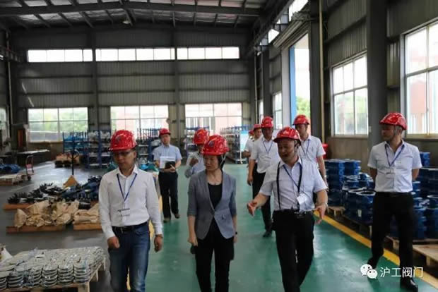 嘉定區副區長陸祖芳等領導一行蒞臨我公司視察指導工作(圖8)