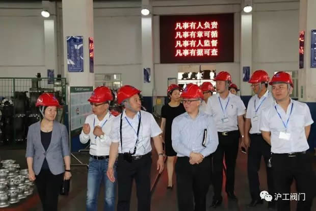 嘉定區副區長陸祖芳等領導一行蒞臨我公司視察指導工作(圖9)