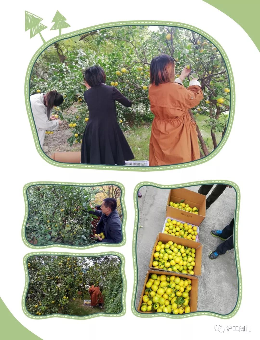 �ի@���ӣ��D2��