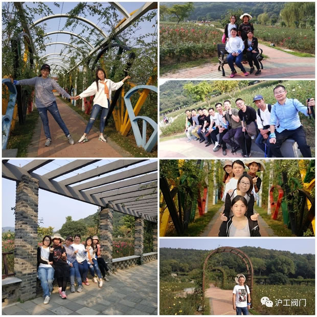 上海滬工閥門廠2019年秋季徒步毅行活動(圖7)